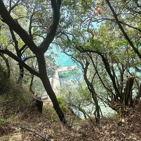 The Seagull House