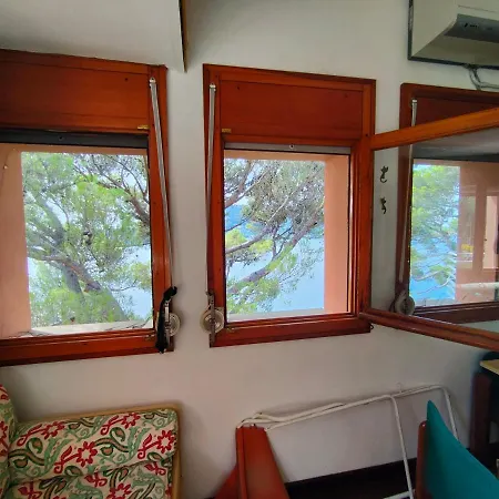 The Seagull House